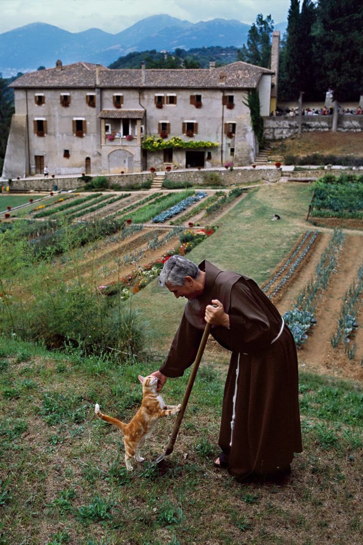 catholicashlyn's tweet image. religious and animals together are my favorite thing lately