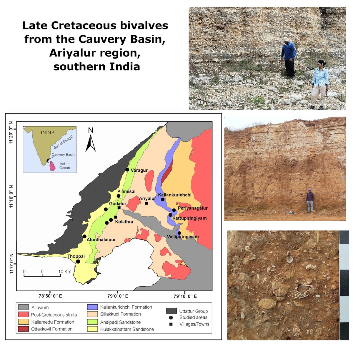 ThePalAss's tweet image. The role of substrate in determining the dominance of immobile, epifaunal bivalves in the Late Cretaceous onlinelibrary.wiley.com/doi/10.1111/pa… @datadryad @IITKgp @ArkaPrava14 @wileyearthspace