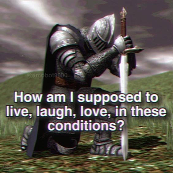 Wild TikToks tweet media