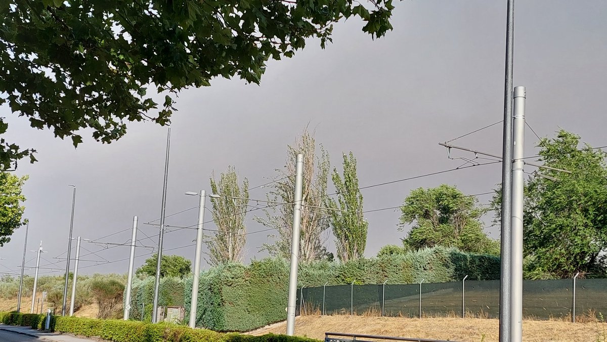 Si observas una columna de humo, procede de un incendio en Méntrida. En algunas zonas de #Madrid están cayendo pavesas del incendio. Te recomendamos que sigas las siguientes indicaciones:
1.Cierra puertas y ventanas.
2.Apaga los sistemas de ventilación.
#Prevención