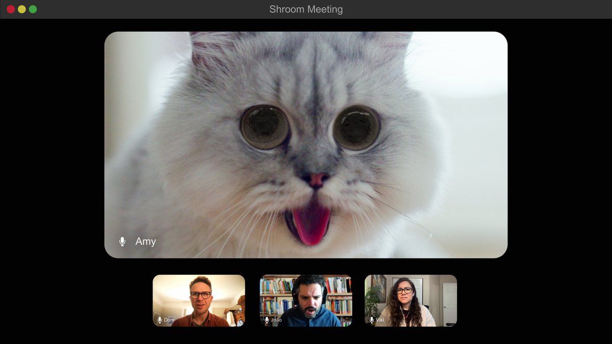 WatchNebula's tweet image. watching Amy's Dead-End Dreamhouse right now >> being on a work meeting with your colleagues