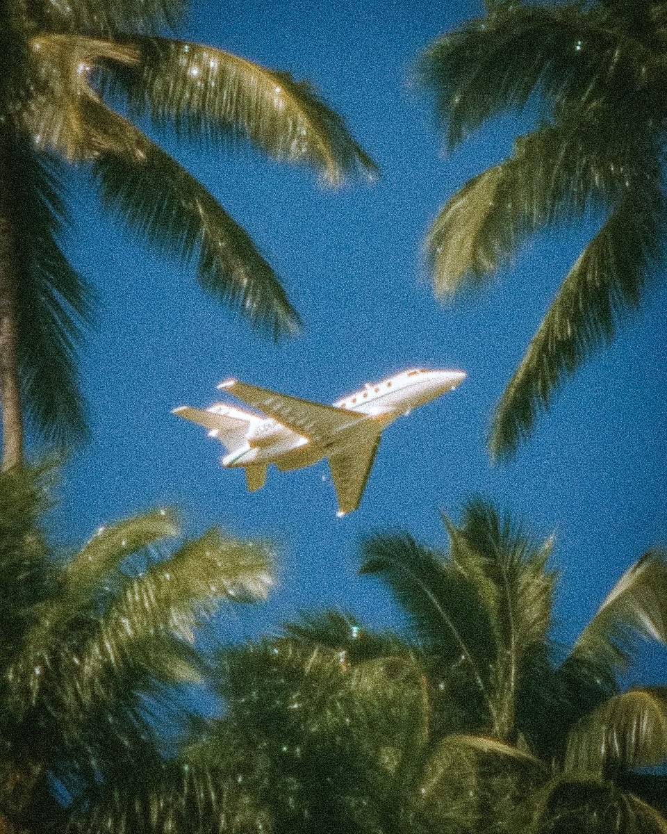 Heavy Pulp (@theheavypulp) on Twitter photo 