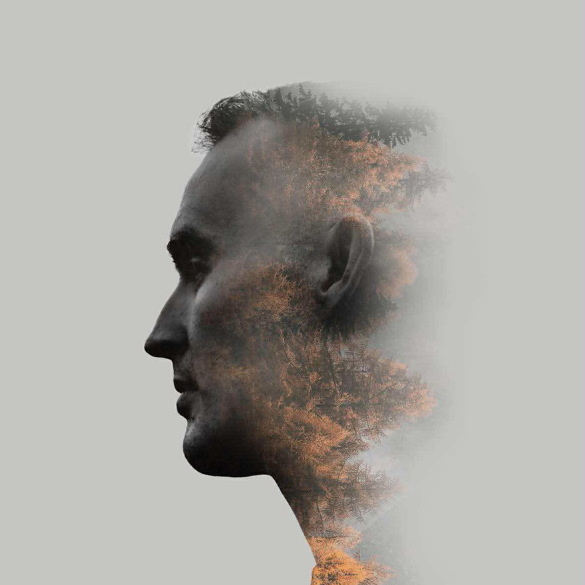 Hot Music Live Presents (@hotpresents) on Twitter photo "Paradise Is Burning" by Robert James Grey. Preview in <a href="/HotMusicLive/">HotMusicLive</a> at: hotmusiclive.co.uk/MAGAZINE/magaz… "Paradise Is Burning" by Robert James Grey. Preview in <a href="/HotMusicLive/">HotMusicLive</a> at: hotmusiclive.co.uk/MAGAZINE/magaz…