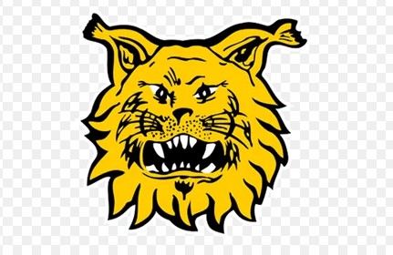 sportzeloot's tweet image. AZ stuit in de tweede voorronde van de Conference League op Ilves. Als die ploeg maar half zo goed is als het logo, wordt dat een zware dobber.