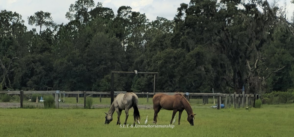 Eric Ryan Anderson tweet media