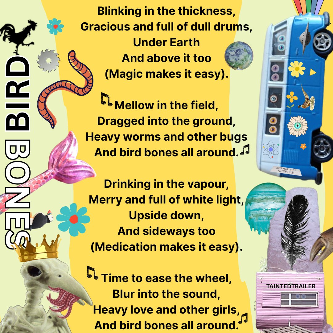 taintedtrailer's tweet image. We try to be #mellow,
And most days we are
(On the outside anyway).
BIRD BONES
#vss365 馃惁鈥嶁瑳