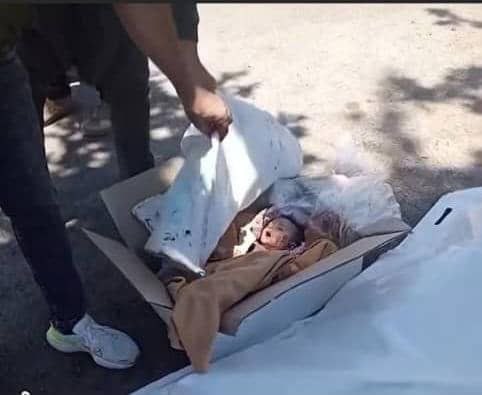 خلصنا من ثارات الحسين وصار في ثارات سلمان
طفل رضيع 👇🏻