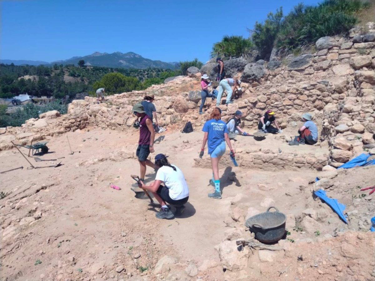 Universitat Rovira i Virgili tweet media