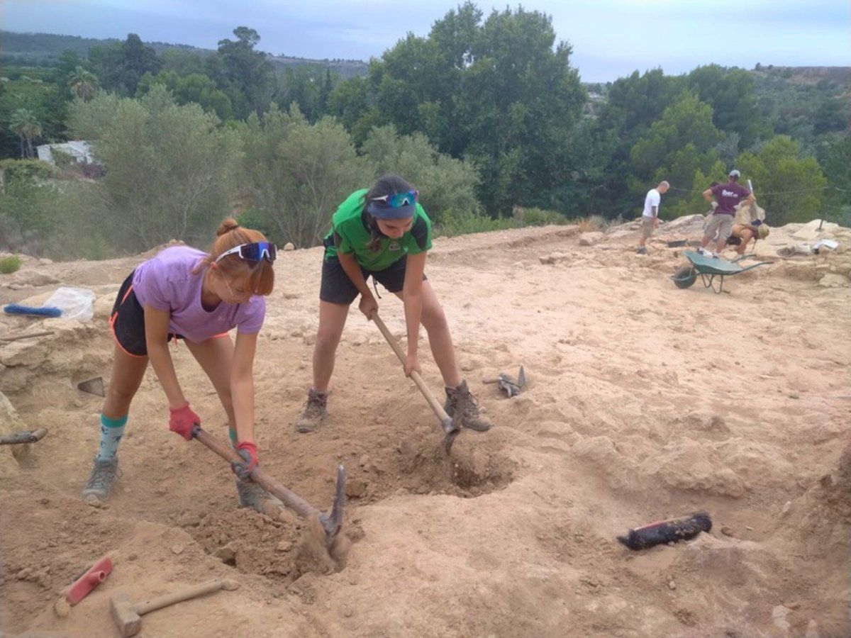 Universitat Rovira i Virgili tweet media