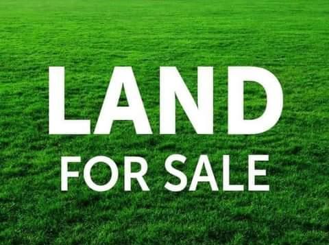 Leaders_propty's tweet photo. FOR SALE:
A Fenced and Gated 4 Plots together of Land in a Built up Well Developed Secured Estate. 

LOCATION: Green Ville Estate, off Badore road Ajah Lagos.
PRICE: ₦30m per plot
TITLE: Deed and Survey

#lagosrealestate #lekkirealtor #nigeriansindiaspora
#nigeriarealestate https://t.co/2teW3pHfvQ