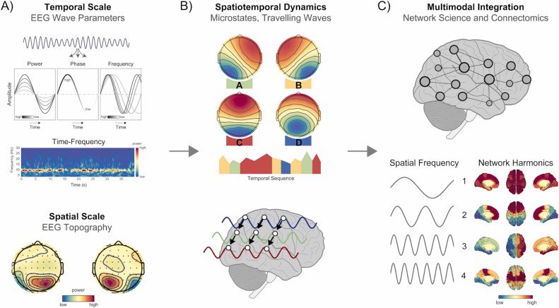 🧠 New publication! Our 2024 EEG Symposium report is now online: lnkd.in/d3xirMkV

Held in Lausanne, it explores current insights &amp; future directions in EEG brain oscillation research—now with full talk recordings + open-access perspective paper. #EEG100 #Neuroscience
