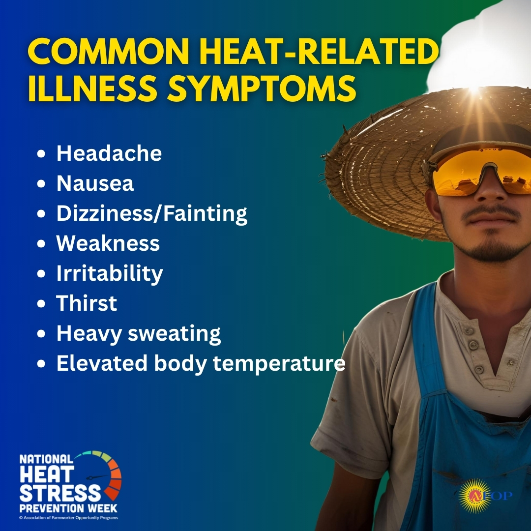 AFOPHealth&Safety tweet media