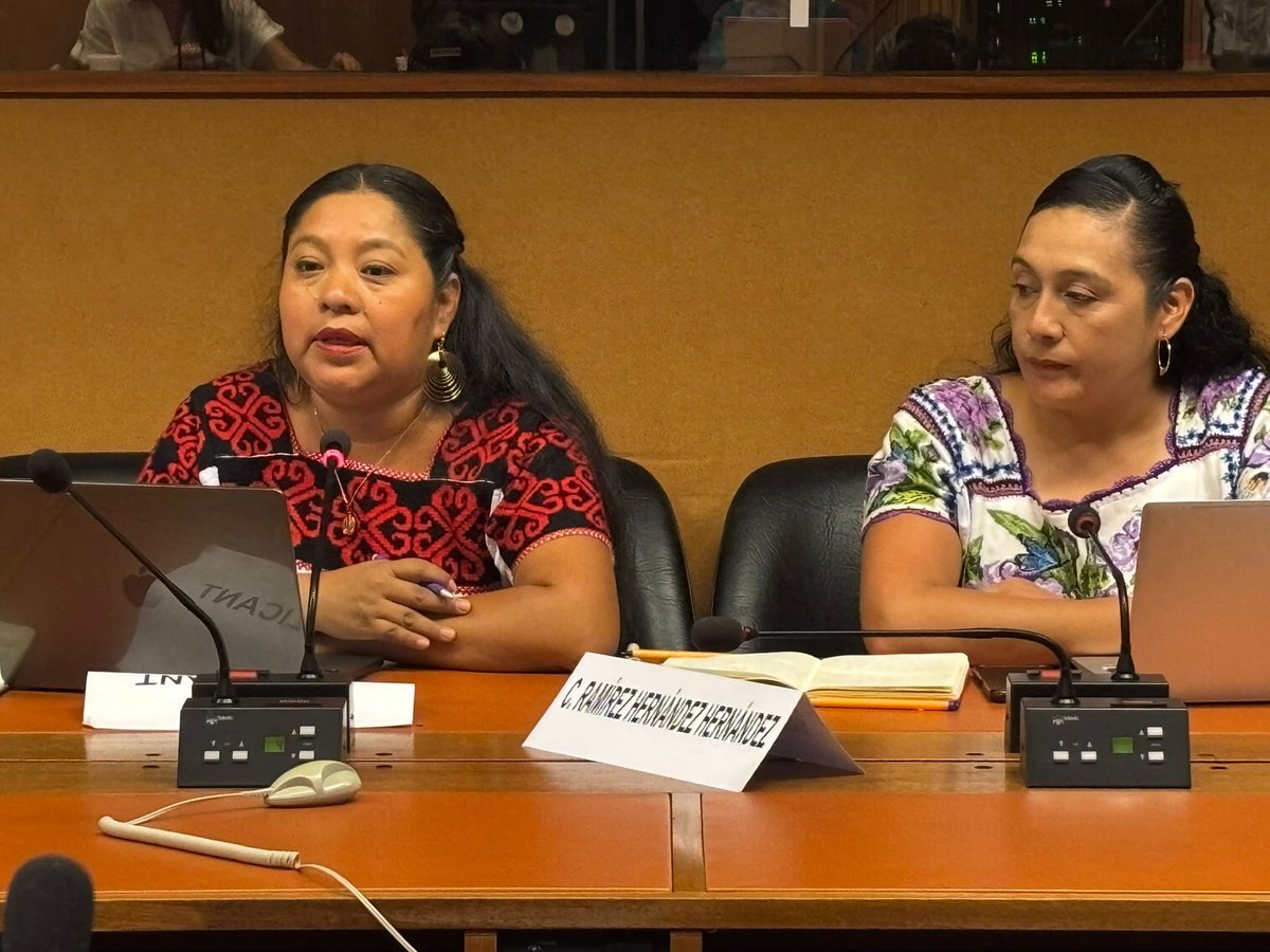 #Delegamex participa en evento “Reforma Constitucional sobre Derechos de los Pueblos Indígenas Afromexicanos y Recomendación 39 de <a href="/CedawUn/">United Nations CEDAW</a>” y destaca la protección y promoción de derechos de mujeres indígenas en condiciones de igualdad sustantiva. <a href="/INPImx/">INPI</a> <a href="/DEELAYUUK/">Adelfo Regino Montes</a> <a href="/MisionMexOI/">Misión de México en Ginebra</a>