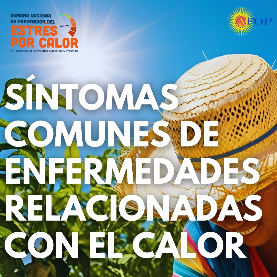 AFOPHealth&Safety tweet media