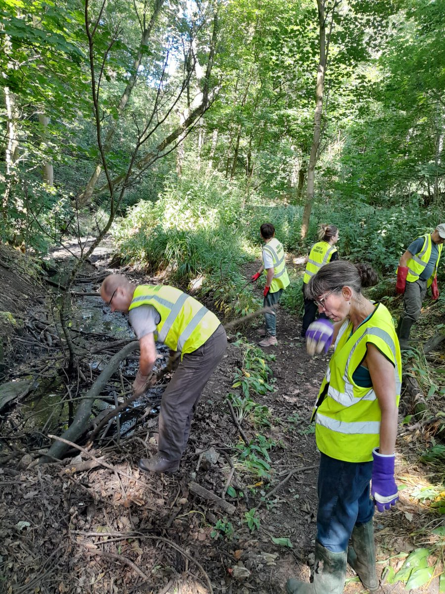 Saturday's working party volunteers spent their time wrestling mud! Lots of hard work clearing the grids and stream in Fox Wood.  Fortunately there were lots of tea and biscuits as a reward! Thanks everyone