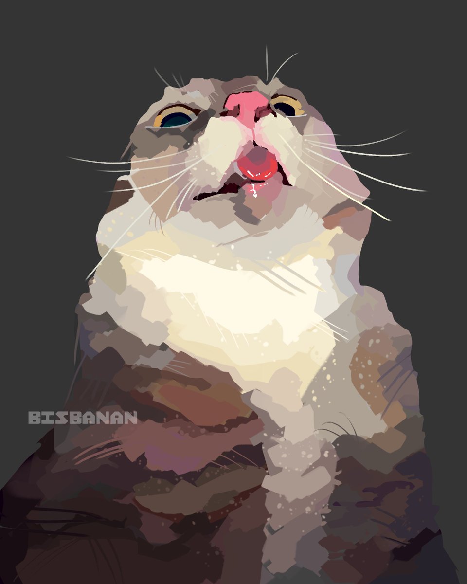 BisBanan's tweet image. i drew the silly cat :p
