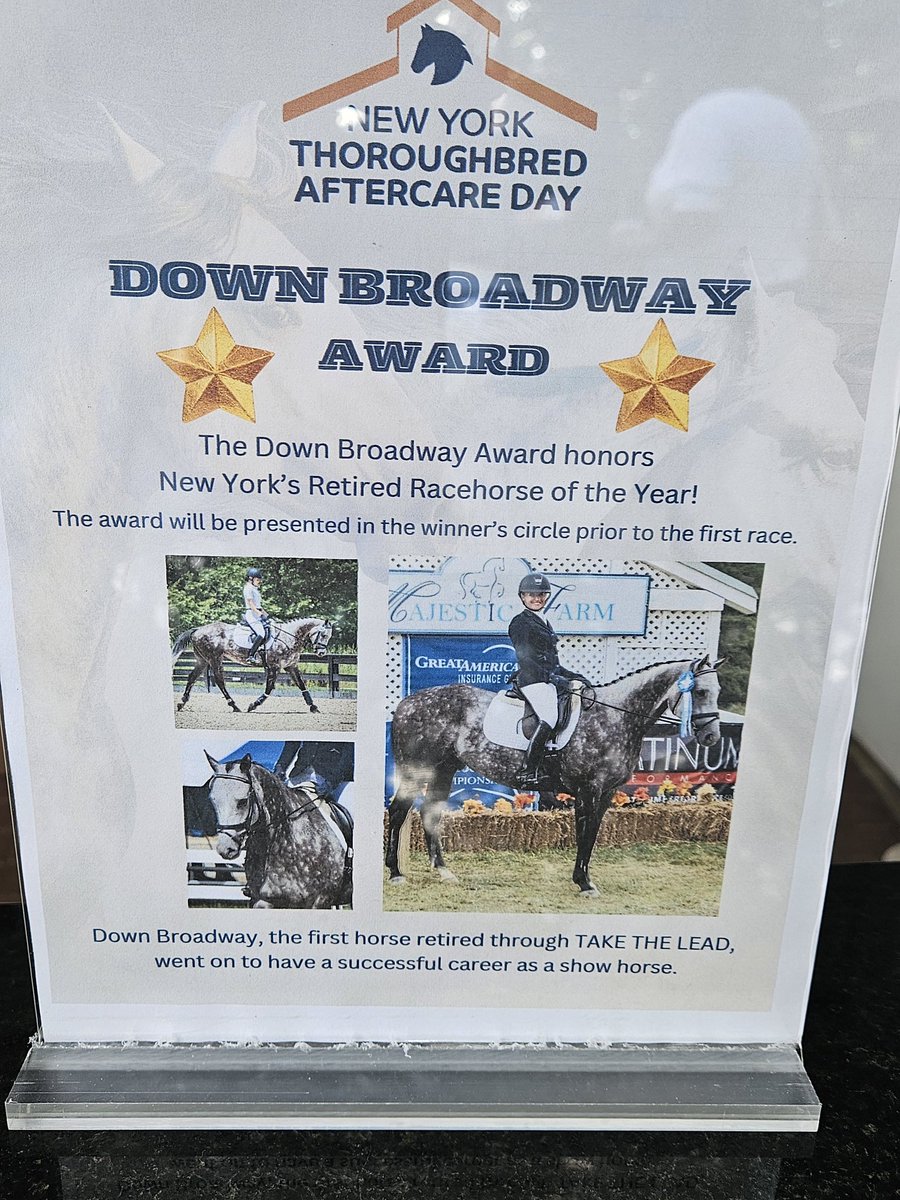 NewYorkTHA's tweet image. Who will win the Down Broadway Award for New York's Retired Racehorse of the Year? The winner will be announced before the first race at Saratoga Race Course today. Join us for the fifth annual Aftercare Day! @TheNYRA @NewVocations @lisaky72 @TAKE2Tbreds @trfinc @SecondChanceTBs