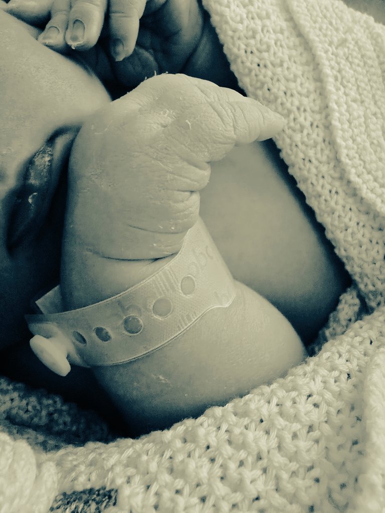 Marco (🫰,✨) tweet media