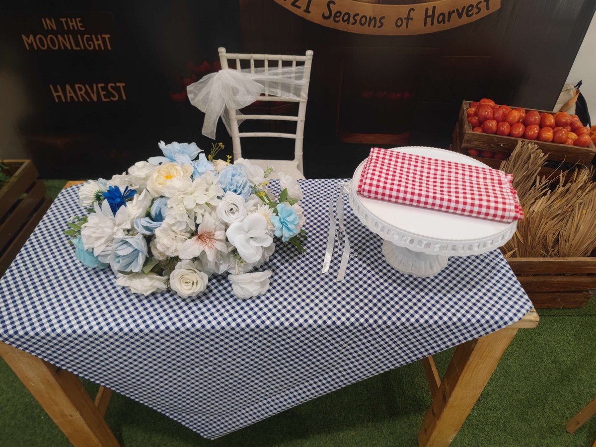 Tukulnation #ROTF🐺 tweet media