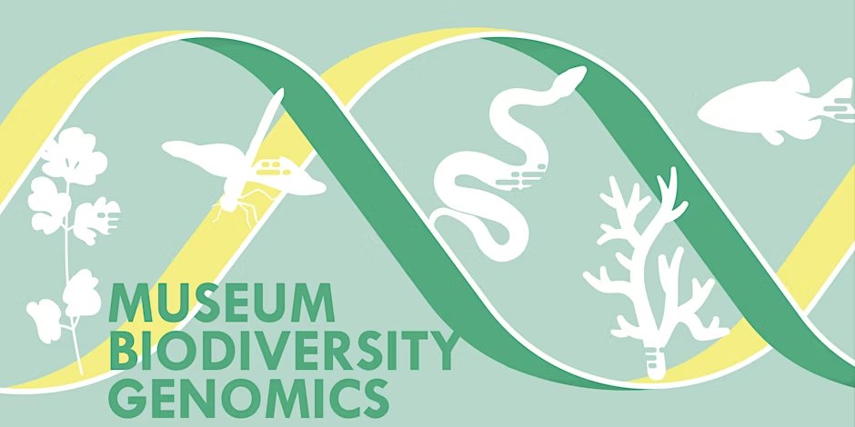 @SEGenetica (@segenetica) on Twitter photo 🧬 Simposio MUSEUM BIODIVERSITY GENOMICS
🗓️15/Sept
📍<a href="/mncn_csic/">Museo Nacional de Ciencias Naturales</a>
Ponentes internacionales, genómica aplicada a colecciones naturales y nuevas fronteras en biodiversidad.
🗓 Inscripciones hasta el 1/9
👉 eventbrite.co.uk/e/museum-biodi…
#Genomics #Biodiversity #CSIC #Museums #Science 🧬 Simposio MUSEUM BIODIVERSITY GENOMICS
🗓️15/Sept
📍<a href="/mncn_csic/">Museo Nacional de Ciencias Naturales</a>
Ponentes internacionales, genómica aplicada a colecciones naturales y nuevas fronteras en biodiversidad.
🗓 Inscripciones hasta el 1/9
👉 eventbrite.co.uk/e/museum-biodi…
#Genomics #Biodiversity #CSIC #Museums #Science
