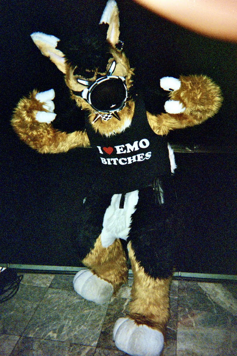 blickygrasper's tweet image. Fuzzy ATL Nights 🌙 w/ @SkunkerPuppy
