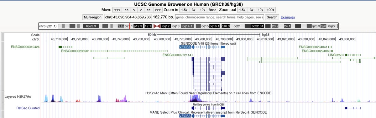 Ming "Tommy" Tang (@tangming2005) on Twitter photo 1/ Many genomics mistakes are hard to catch in the code.
 They’re in the data you never looked at.
 Genome browsers can change that. Here’s how. 1/ Many genomics mistakes are hard to catch in the code.
 They’re in the data you never looked at.
 Genome browsers can change that. Here’s how.