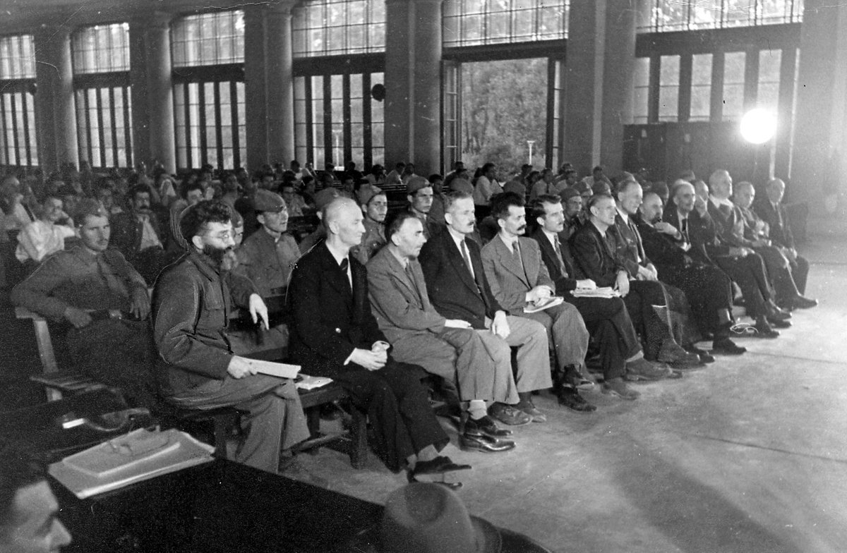 17. jula 1946. nije streljan samo kvisling i zločinac Draža Mihailović, već je pravda sa njim stigla i Dragog Jovanovića (krvnika i okupacionog upravnika Beograda), četničkog vojvodu Rada Radića koji je sa nacistima i ustašama na Kozari klao sopstveni narod i terao ga u