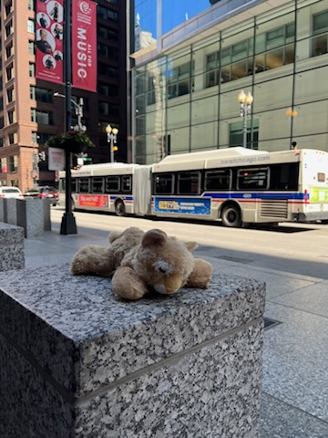 Colson Elementary tweet media