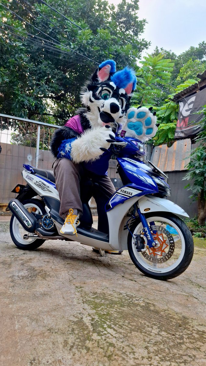Ickx_Husky's tweet image. Ickx and his favorite bike, he really loves it