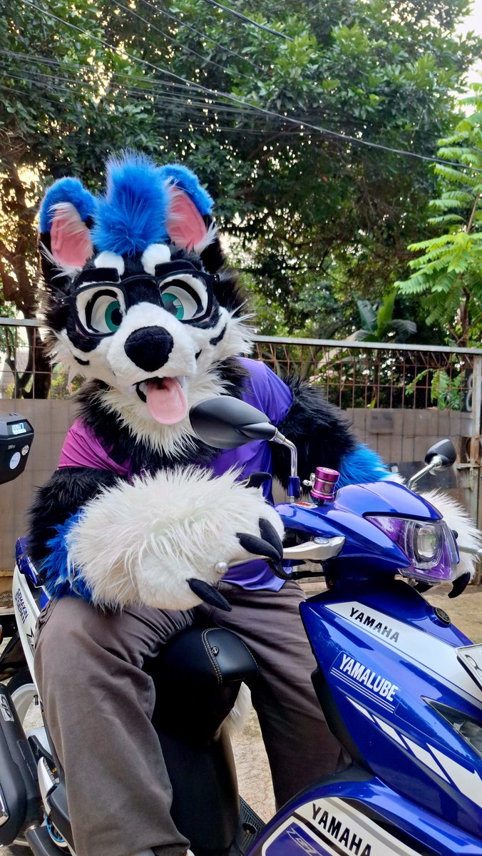 Ickx_Husky's tweet image. Ickx and his favorite bike, he really loves it