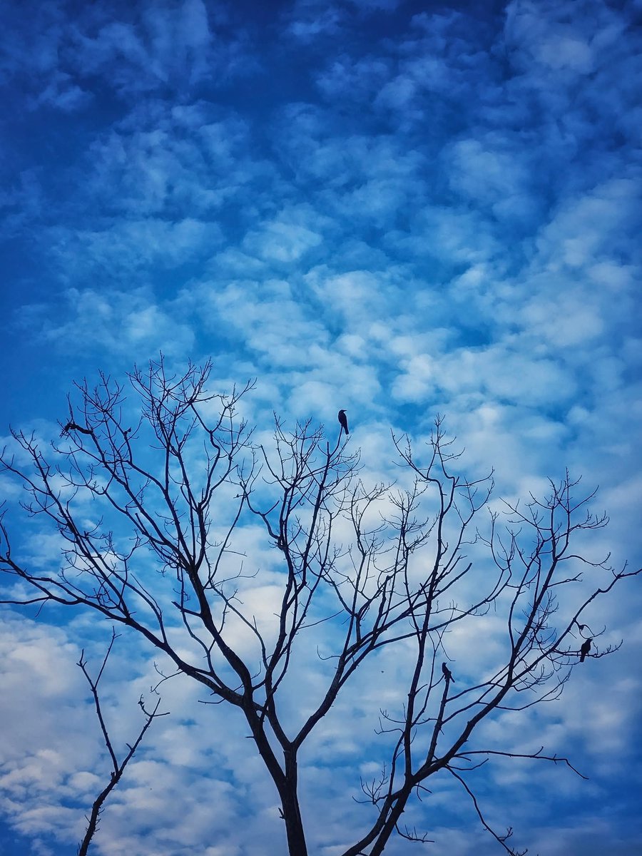 Mrskhus's tweet photo. এই যে পুরো পৃথিবী ভর্তি মানুষ কিন্তু আমার কেবল তোমাকেই ভাল্লাগে,, বলো... এর থেকে আর বড়ো স্বীকারোক্তি কি হতে পারে? 🥀 https://t.co/0x9EPGFqDP