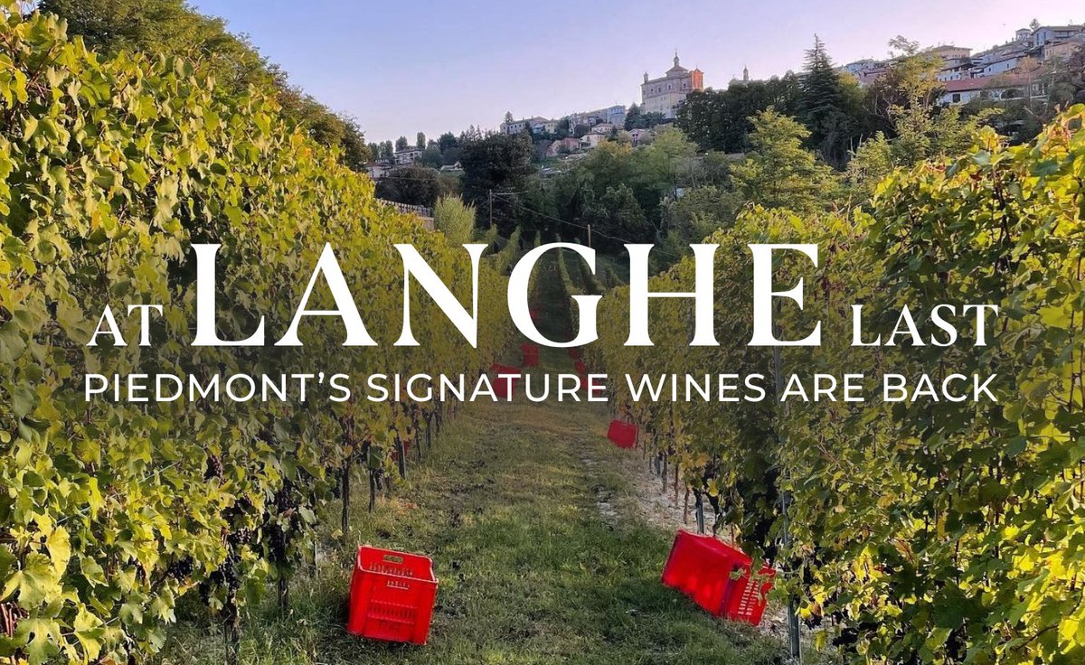 The Langhe is lekker. For fantastic value, look no further than Langhe Nebbiolo as it’s often made from the same highly regarded parcels as the estates’ Barolos and Barbarescos.🍷

Read more: winecellar.co.za/at-langhe-last…