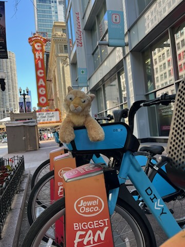 Colson Elementary tweet media