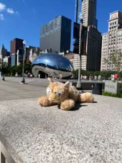 Colson Elementary tweet media