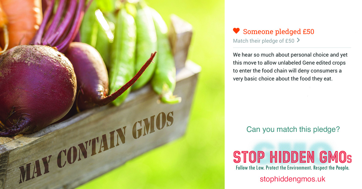Beyond GM (@beyond_gm) on Twitter photo Real people. Real voices. These are the views that the government ignored when it decided to use the Genetic Technology Regulations to hide #GMOs in our food system. Read more comments and DONATE to our legal fighting fund today at crowdjustice.com/case/stop-hidd… #StopHiddenGMOs Real people. Real voices. These are the views that the government ignored when it decided to use the Genetic Technology Regulations to hide #GMOs in our food system. Read more comments and DONATE to our legal fighting fund today at crowdjustice.com/case/stop-hidd… #StopHiddenGMOs