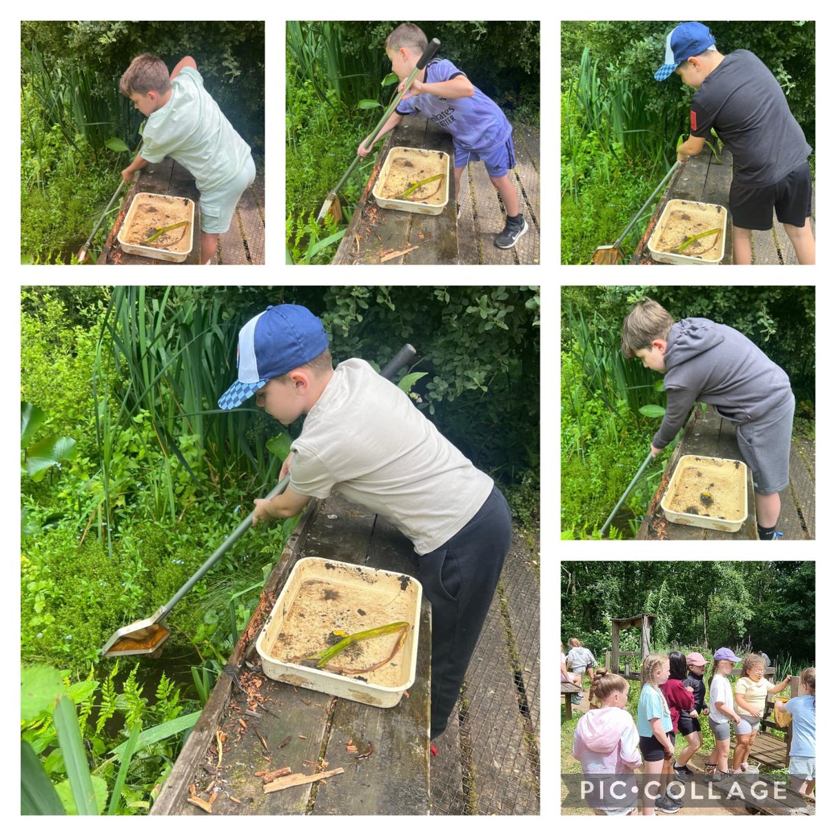3RP enjoyed their pond dipping challenge at Welsh Water in Cilfynydd this week! 🌟