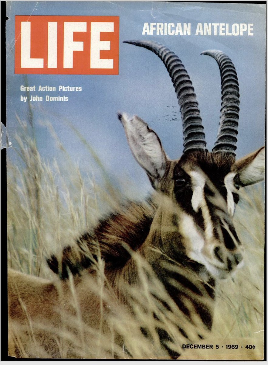 Tim Barker (@_timbarker) on Twitter photo This was the cover of the issue of Life which also included the My Lai photos This was the cover of the issue of Life which also included the My Lai photos