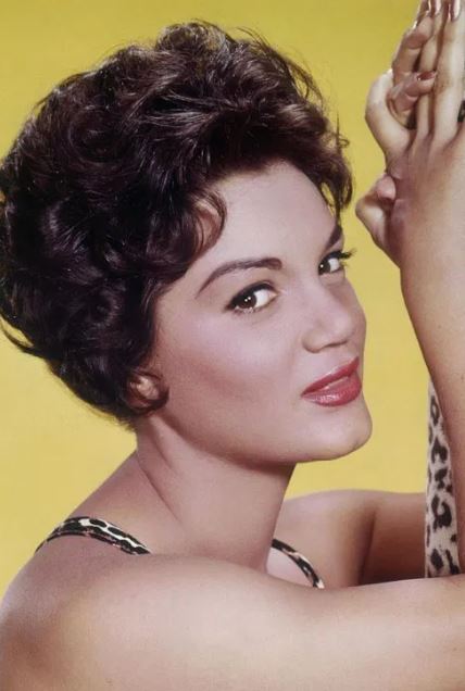 Jane Brown (@janebrownnews) on Twitter photo Pretty Little Baby singer Connie Francis, dead at 87. Rarely off the charts from 1957 to 1964, she was a top performer of the pre-Beatles era. <a href="/Zoomer/">Zoomer Magazine</a> #Iconic #Legend
zoomerradio.ca/news/2025/07/1… Pretty Little Baby singer Connie Francis, dead at 87. Rarely off the charts from 1957 to 1964, she was a top performer of the pre-Beatles era. <a href="/Zoomer/">Zoomer Magazine</a> #Iconic #Legend
zoomerradio.ca/news/2025/07/1…