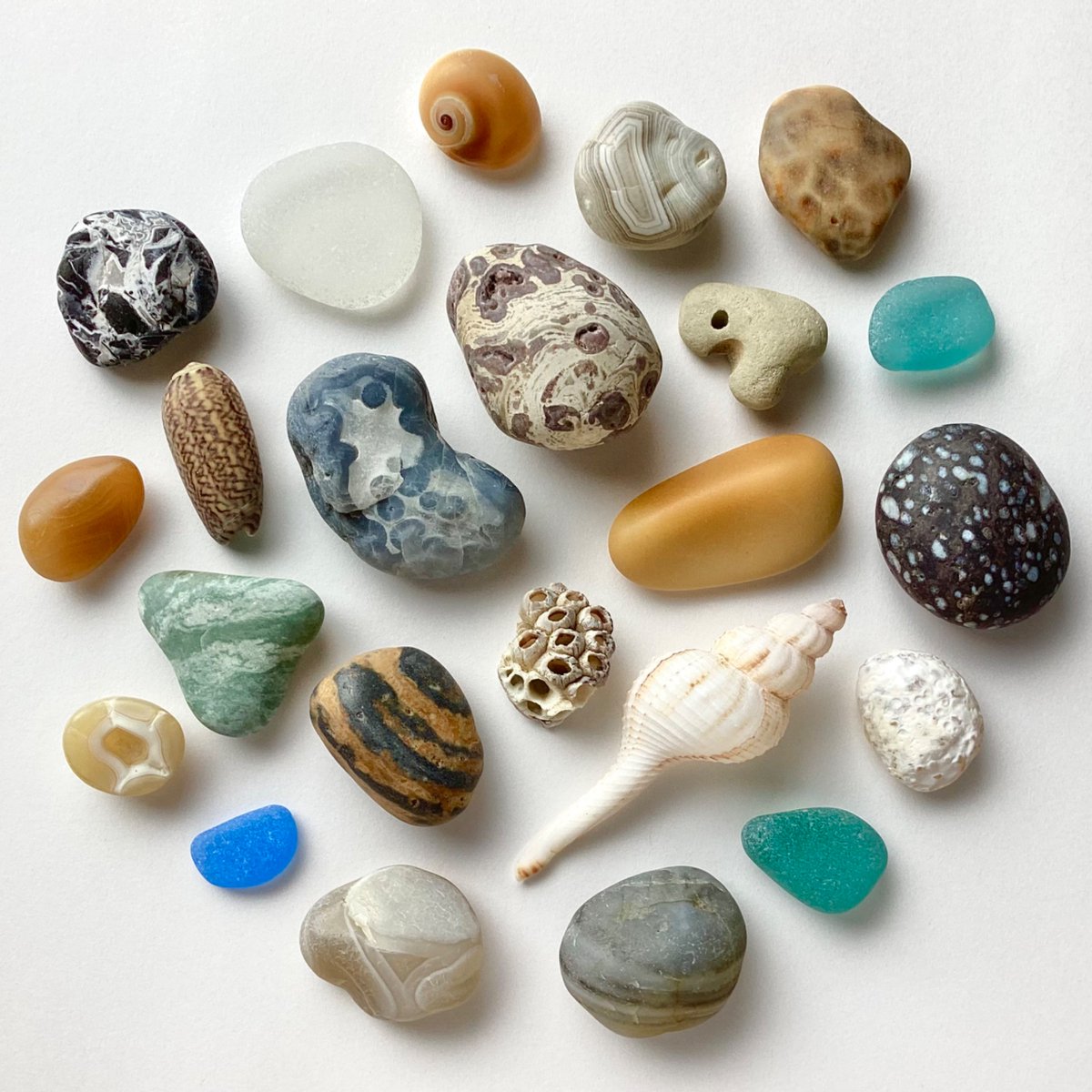 海辺で、美しくへんてこなものを拾う季節がやってきた。
水際の一瞬を写したような石。精巧な形の貝殻。
全てが海の記憶を静かに宿してる。