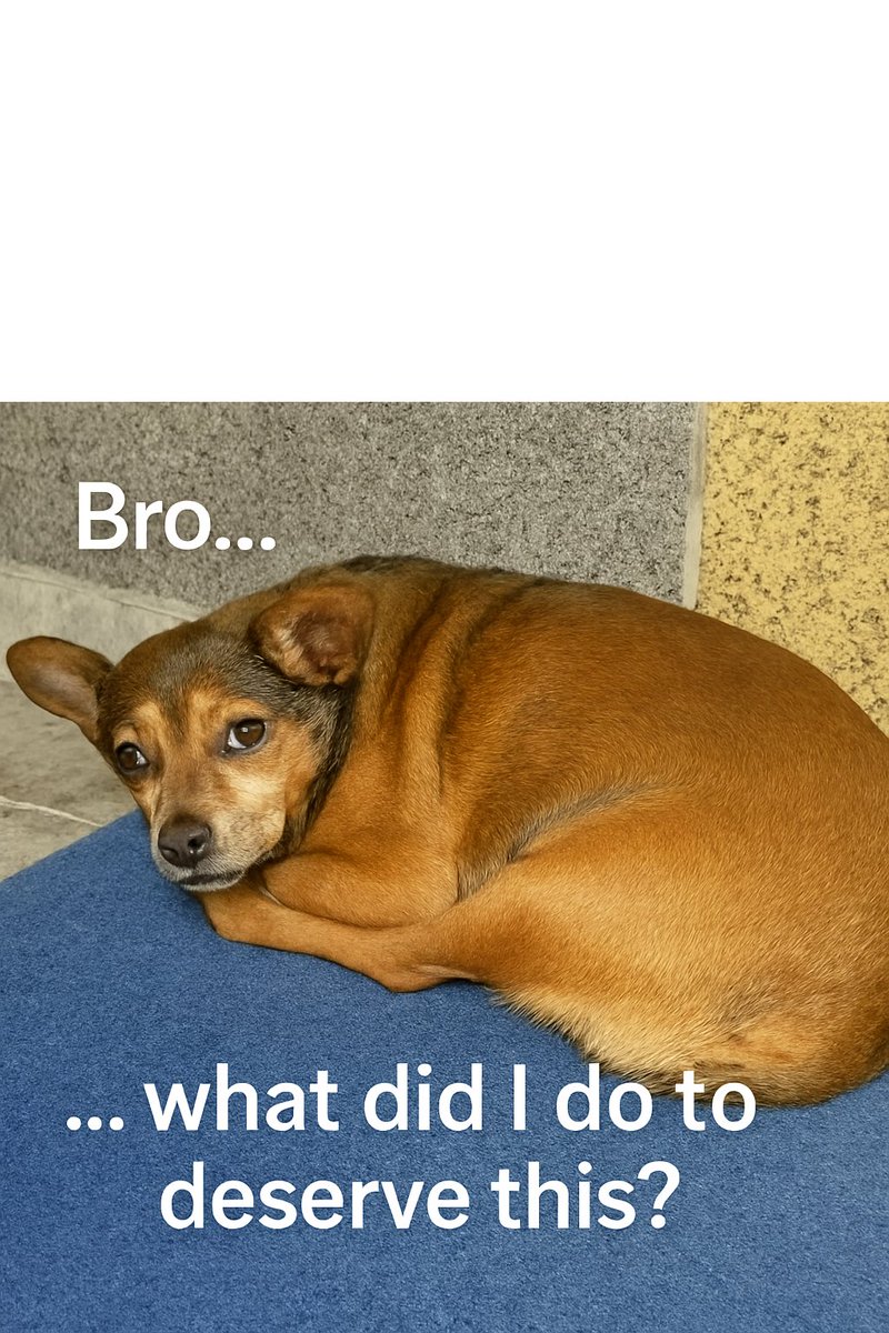 Dogs don’t get “accidents.”
You kick them in your sleep - they think it was personal.

Meanwhile <a href="/JamesWynnReal/">James Wynn</a> staring at a random wick that wiped him out: