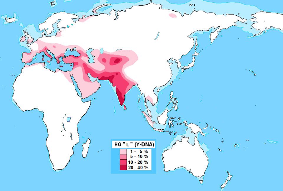 _ant________'s tweet image. The modern population with the closest relation to ancient Zagrosian DNA is Gujarati Indians
