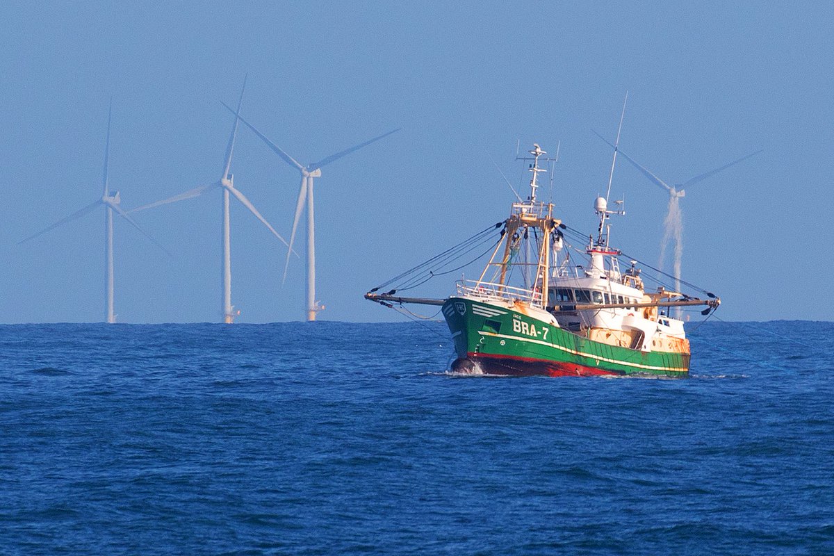Het WEEKJOURNAAL:
Het kabinet verlaagt de ambities voor windenergie op de Noordzee.
“Dit is eindelijk een eerste teken van gezond verstand,” zegt voorzitter Johan K. Nooitgedagt.
vissersbond.nl/weekjournaal-1…