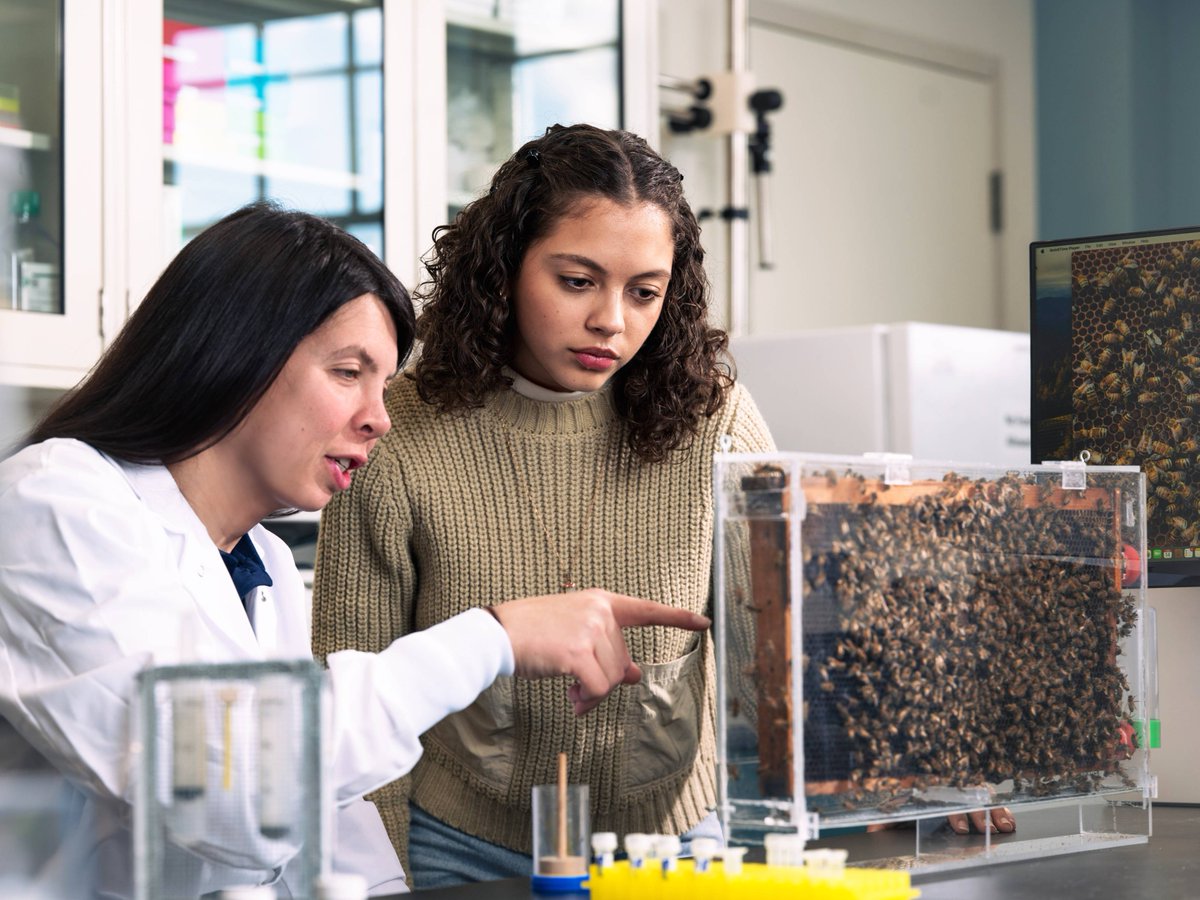 USDA_NIFA's tweet image. Nominate outstanding faculty for the National Food and Agricultural Sciences Teaching, Extension, and Research Awards Program! Celebrate those who excel in teaching within agriculture and related fields. Submit your nominations by Sept. 30! Learn more: nifa.usda.gov/grants/program…