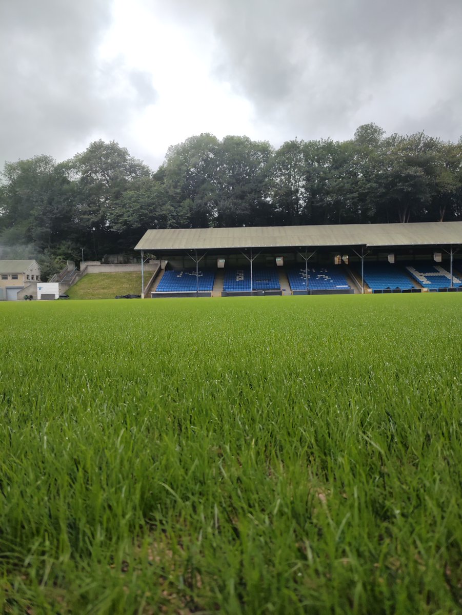 🌱 The green shoots of recovery.

#Shaymen | LD