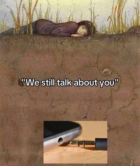 horse dentist (@equine__dentist) on Twitter photo 