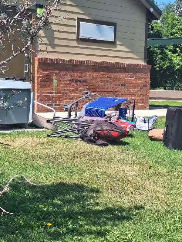 Do Better Denver tweet media