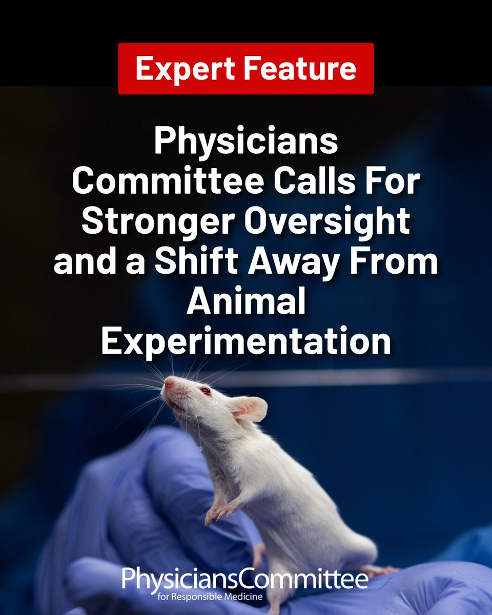 PCRM's tweet image. A new review from Physicians Committee experts finds that IACUCs—the committees that oversee animal research—don’t require nonanimal methods and rarely reject experiments.
We need stronger oversight and human-relevant science.
Read more: nutritioninsight.com/news/non-anima…
