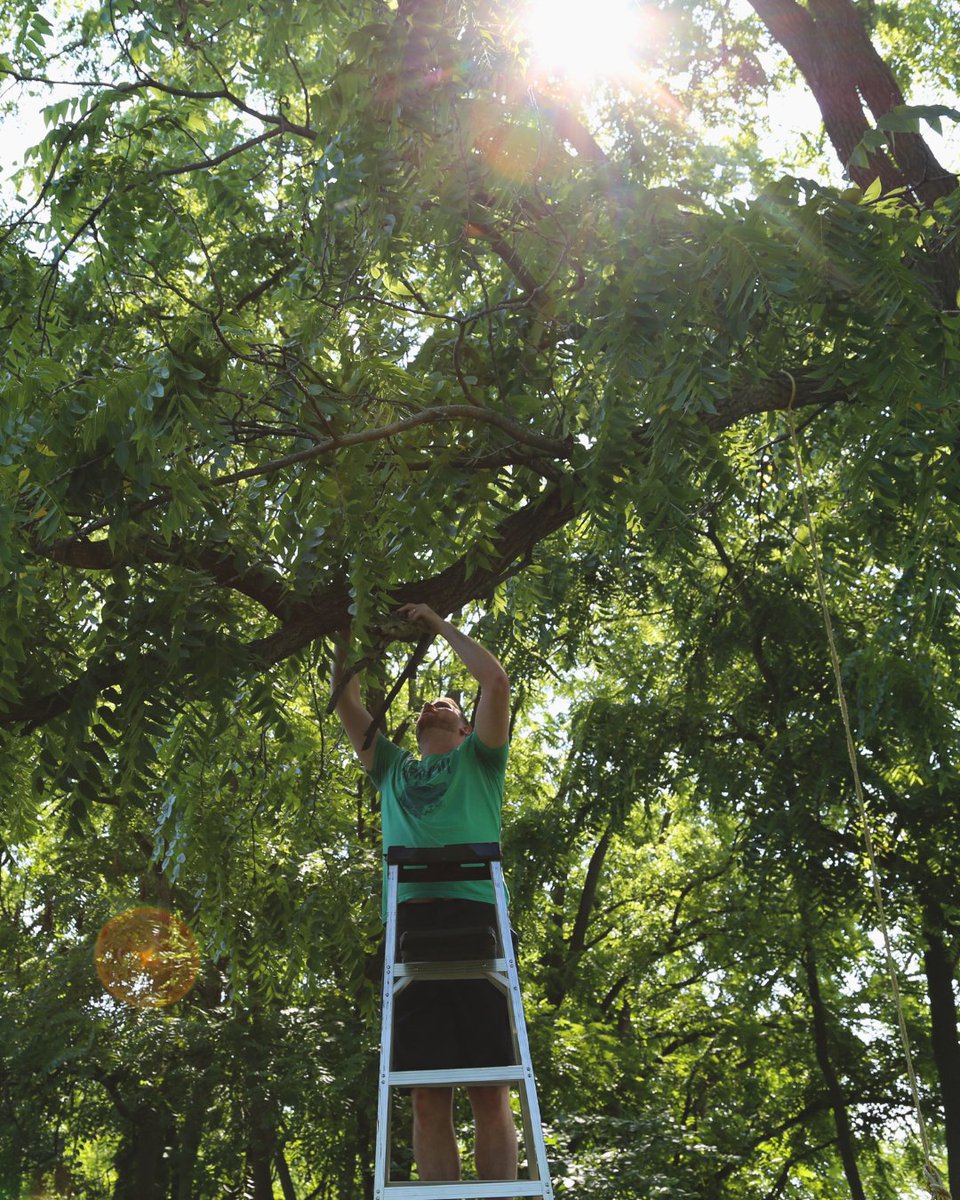 Great Lakes Distillery tweet media