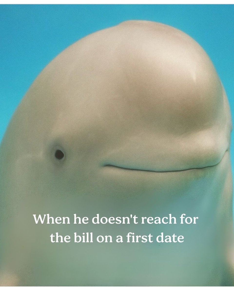 No thoughts just vibes ✌️