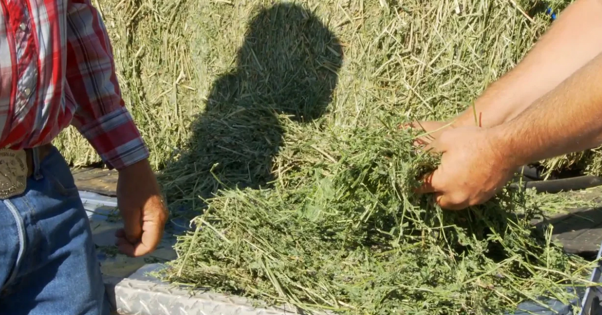 circlecequipmnt's tweet image. When reliability matters, farmers choose Circle C. Check out real feedback from real farmers. circlecequipment.com/testimonials-b…

#ReliableEngineering #CircleC